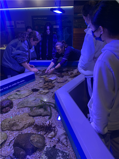 Touch tank at the Marine and Freshwater Discovery Centre laboratory