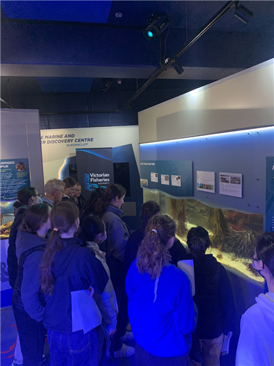 Touch tank at the Marine and Freshwater Discovery Centre laboratory