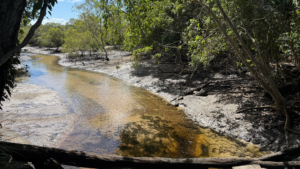 Loreto Toorak Moreton Bay Immersion Program