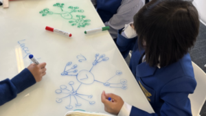 Guiding condience and courage in mathematics at Loreto Toorak