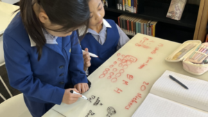Rathfarnham students study mathematics and science
